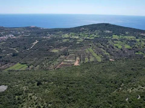 Prodaja, plac, 5230m², Zagora, Kotor - image 18