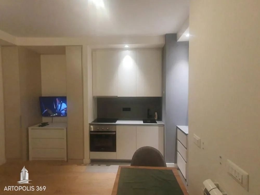 Rent, one bedroom apartment, 30m², Savski Venac, Beograd
