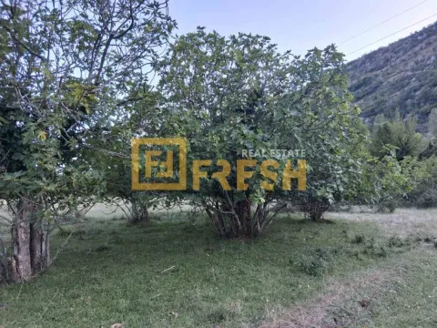 Prodaja, plac, 3280m², Danilovgrad, Crna Gora - image 3