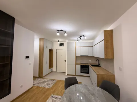 Izdavanje, jednosoban stan, 48m², Stari Aerodrom, Podgorica - image 4