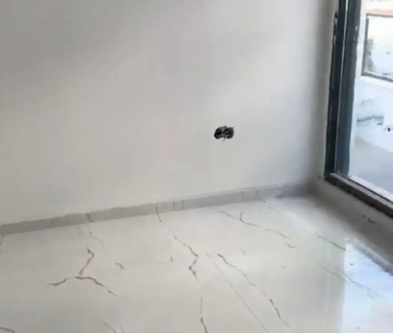 Sale, one bedroom apartment, 34m², Dobre Vode, Bar
