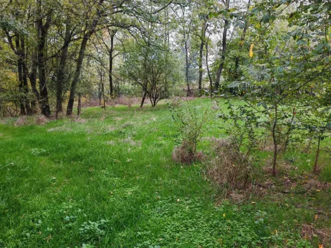 Prodaja, plac, 33900m², Velika Ivanča, Mladenovac - image 9