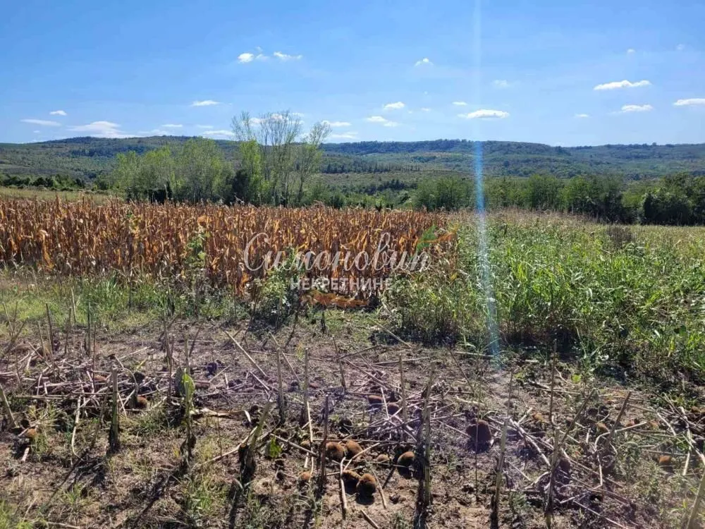 Prodaja, plac, 15000m², Ritopek, Grocka