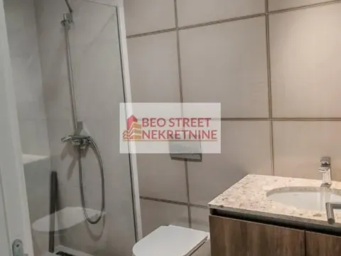 Izdavanje, dvosoban stan, 60m², Savski Venac, Beograd - image 4