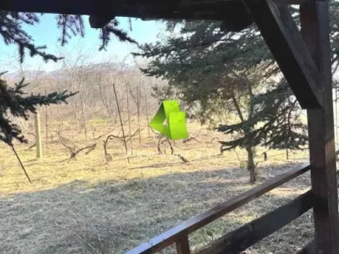 Prodaja, kuća, 40m², Palilula, Niš - image 13