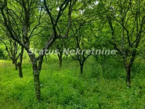 Prodaja, plac, 2100m², Inđija, Srbija - image 8