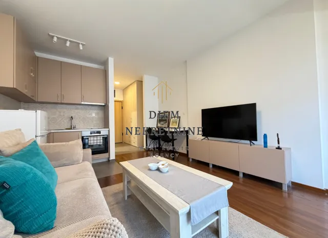 Izdavanje, garsonjera, 28m², Master Kvart, Podgorica