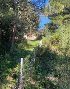 Pogled kroz šumu na kuću i dvorište. - image 2