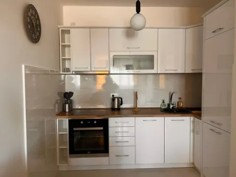 Izdavanje, jednosoban stan, 49m², Central Point, Podgorica - image 6