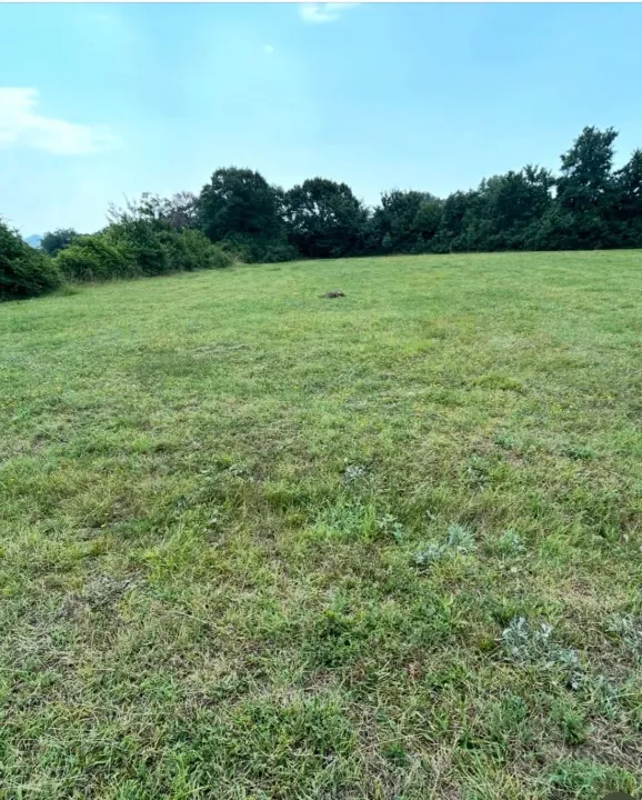 Prodaja, plac, 3500m², Spuž, Danilovgrad