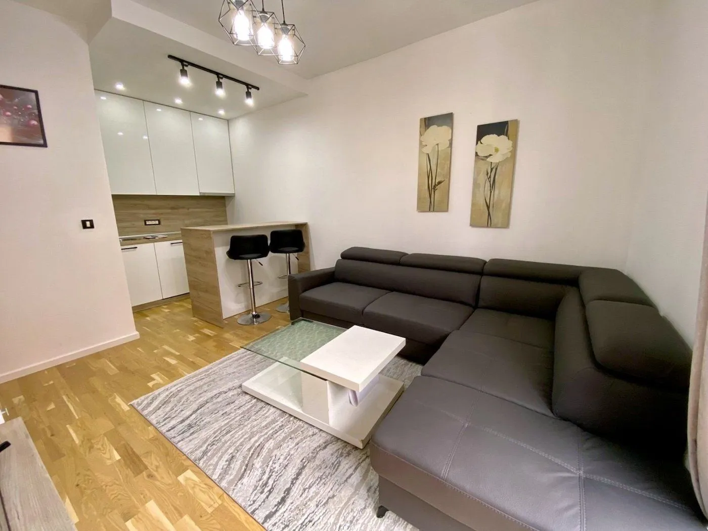 Rent, apartment, 36m², Blok 9, Podgorica
