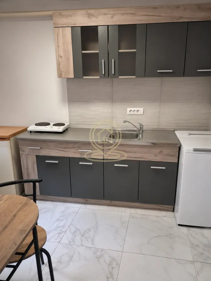 Izdavanje, jednosoban stan, 20m², Podbara, Novi Sad Sve Podlokacije