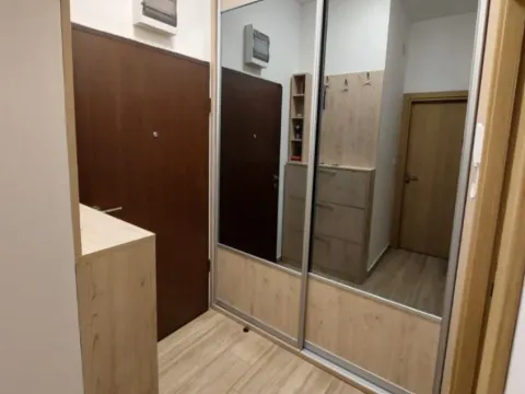 Izdavanje, jednosoban stan, 50m², Zabjelo, Podgorica - image 7