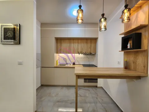 Izdavanje, jednosoban stan, 53m², Zagorič, Podgorica - image 10