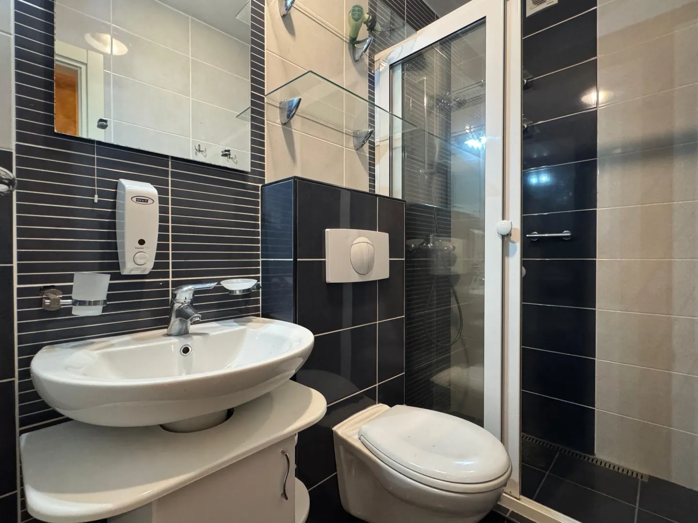 Bathroom equipped with a washbasin, toilet, and walk-in shower.