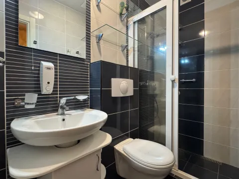 Bathroom equipped with a washbasin, toilet, and walk-in shower. - image 13