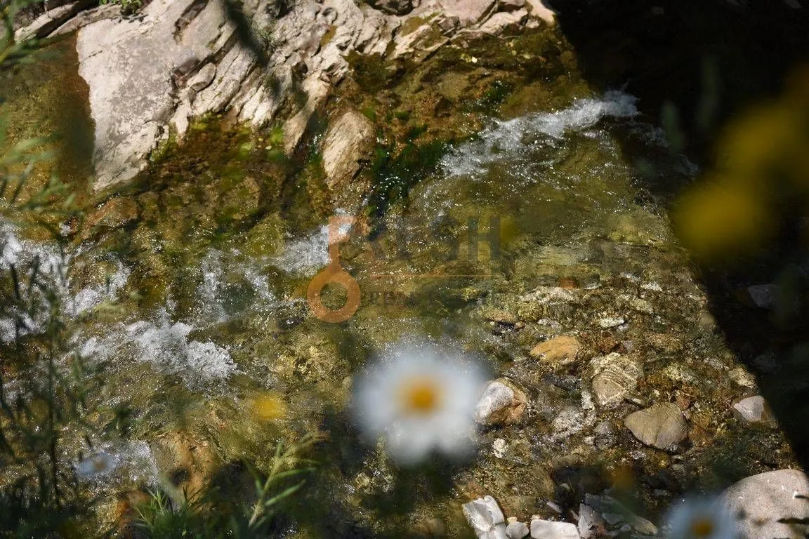 Prodaja, plac, 187598m², Ostalo, Podgorica