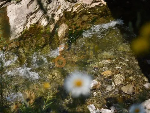 Prodaja, plac, 187598m², Ostalo, Podgorica - image 24