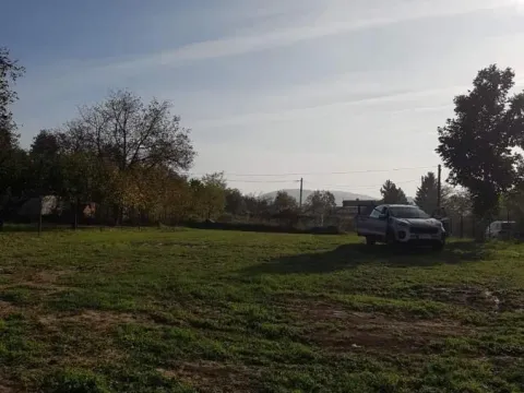 Prodaja, plac, 2400m², Rakovac, Novi Sad Sve Podlokacije - image 9