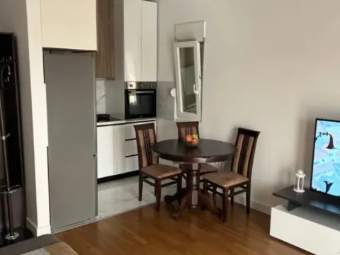 Izdavanje, jednosoban stan, 48m², Zabjelo, Podgorica - image 6