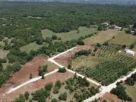 Prodaja, plac, 9000m², Briska Gora, Ulcinj - image 2