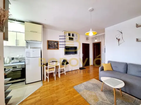Rent, two bedroom apartment, 34m², Višnjička Banja, Palilula Sve Podlokacije - image 3