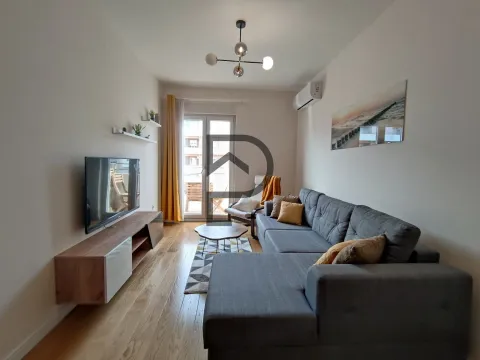 Izdavanje, jednosoban stan, 43m², Central Point, Podgorica - image 2