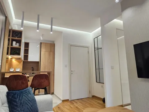 Rent, one bedroom apartment, 33m², Zabjelo, Podgorica - image 9