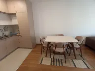 Rent, one bedroom apartment, 53m², Preko Morače, Podgorica - image 13