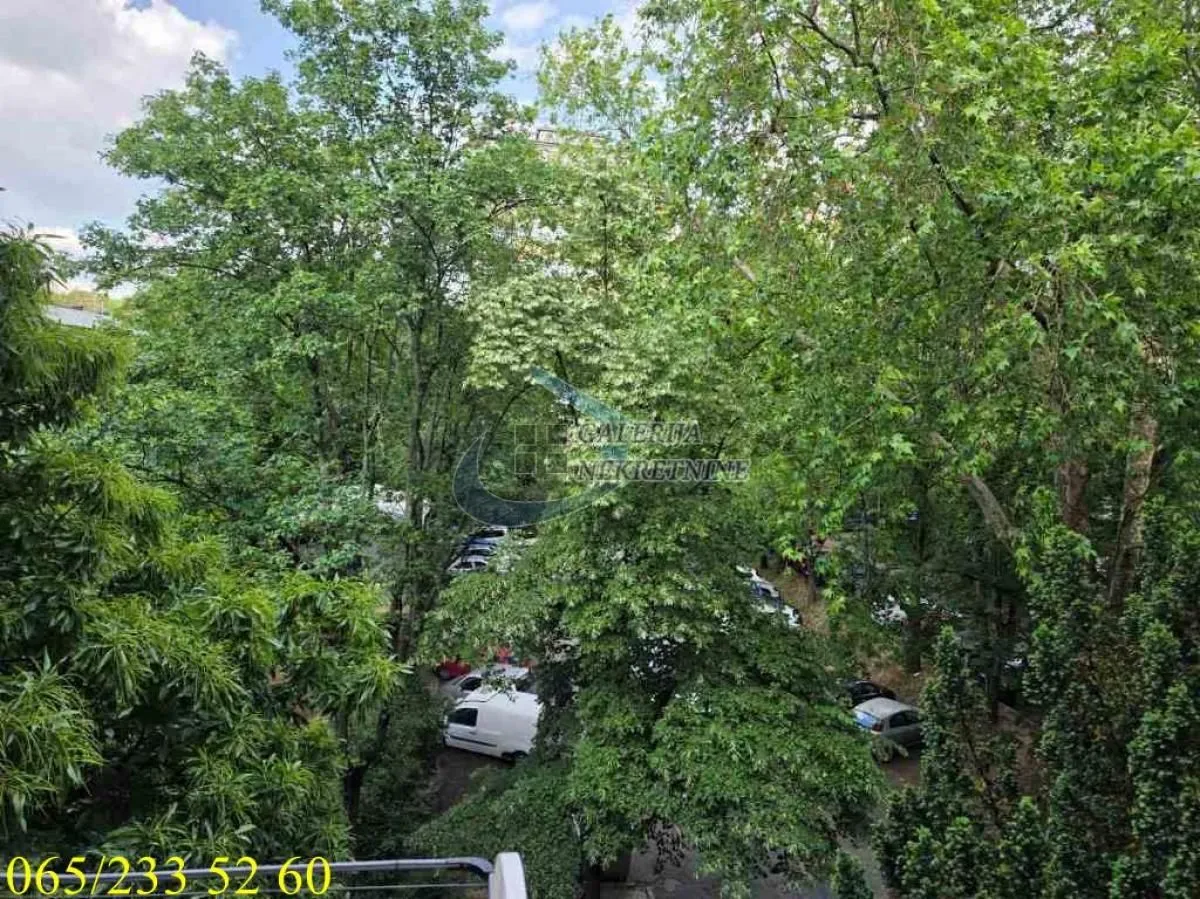 View from the terrace overlooking the surrounding greenery and parking lot.