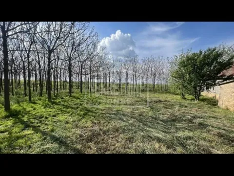 Prodaja, plac, 10000m², Mala Bosna, Subotica - image 13