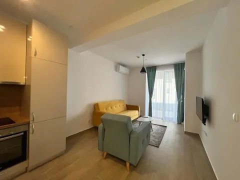 Izdavanje, jednosoban stan, 60m², Rafailovići, Budva - image 9