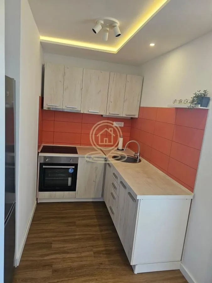 Rent, two bedroom apartment, 50m², Novi Beograd Blok 38, Novi Beograd Sve Podlokacije