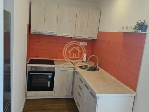 Izdavanje, dvosoban stan, 50m², Novi Beograd Blok 38, Novi Beograd Sve Podlokacije - image 6