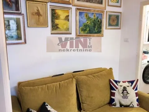 Izdavanje, jednosoban stan, 42m², Autokomanda, Voždovac Sve Podlokacije - image 3