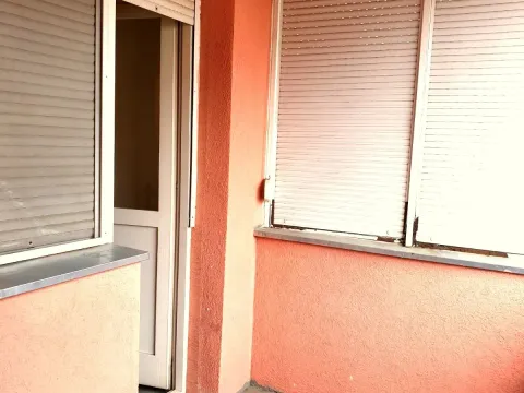 Sale, one bedroom apartment, 50m², Karaburma, Palilula Sve Podlokacije - image 4