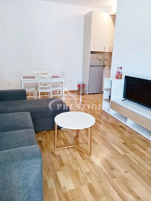 Rent, one bedroom apartment, 40m², Zagorič, Podgorica