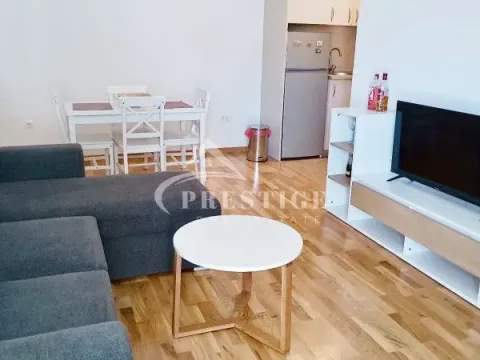 Izdavanje, jednosoban stan, 40m², Zagorič, Podgorica - image 5