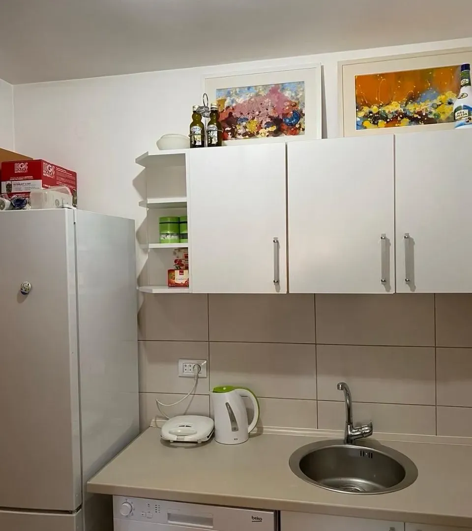 Rent, one bedroom apartment, 40m², Rozino, Budva