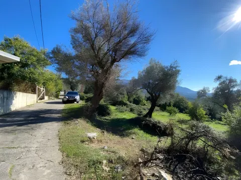 Prodaja, plac, 1258m², Tivat, Crna Gora - image 2