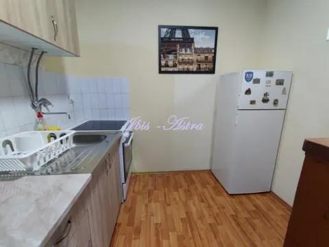 Izdavanje, dvosoban stan, 45m², Savski Venac, Beograd - image 5