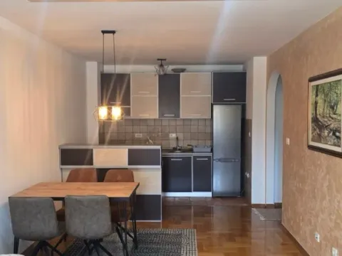 Izdavanje, jednosoban stan, 50m², Stari Aerodrom, Podgorica - image 5