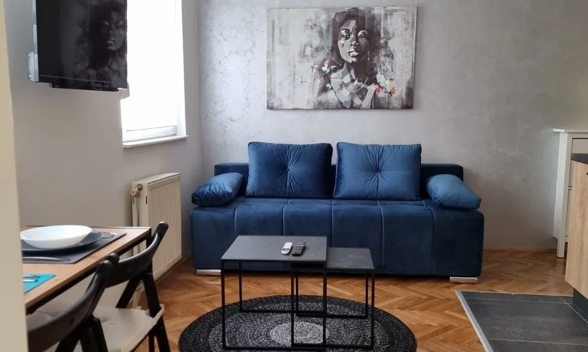 Rent, one bedroom apartment, 31m², Grbavica, Novi Sad Sve Podlokacije