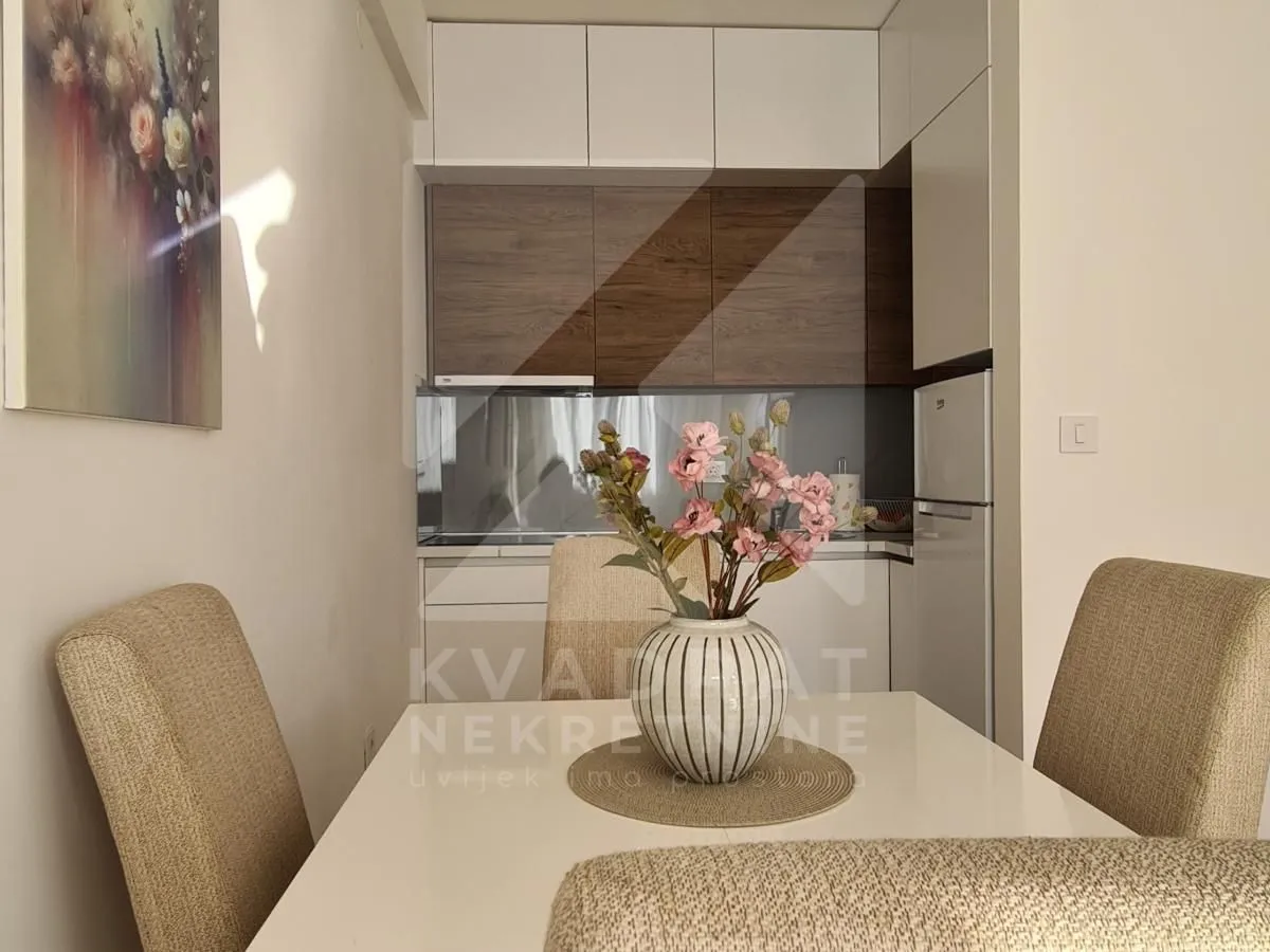 Rent, one bedroom apartment, 42m², Zabjelo, Podgorica