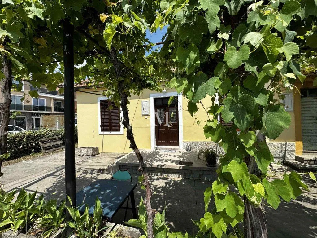 Courtyard of a family house with a grapevine and a seating table.