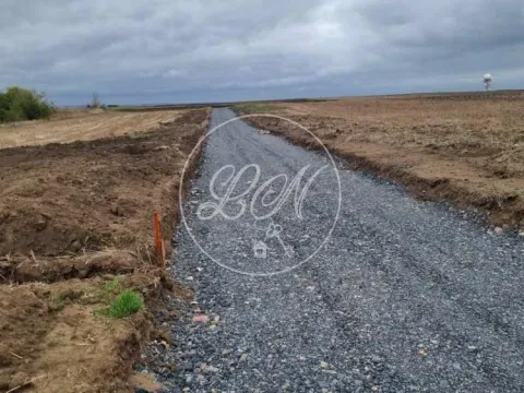 Sale, land lot, 647m², Radiofar, Surčin - image 5