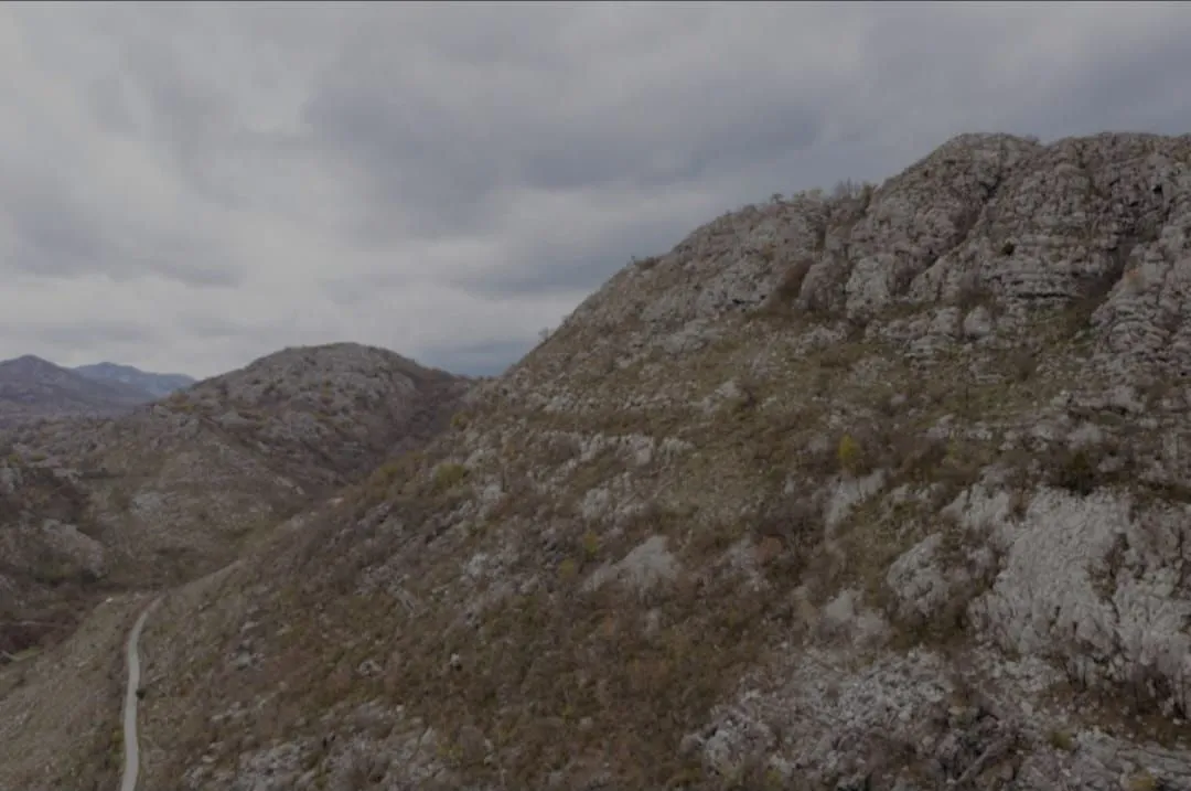 Sale, land lot, 200000m², Kosijeri, Cetinje