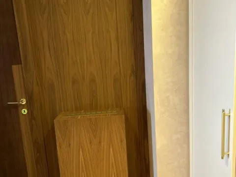 Izdavanje, trosoban stan, 60m², Južni Bulevar, Vračar Sve Podlokacije - image 11