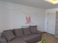 Izdavanje, dvosoban stan, 40m², Mladenovac, Beograd - image 14