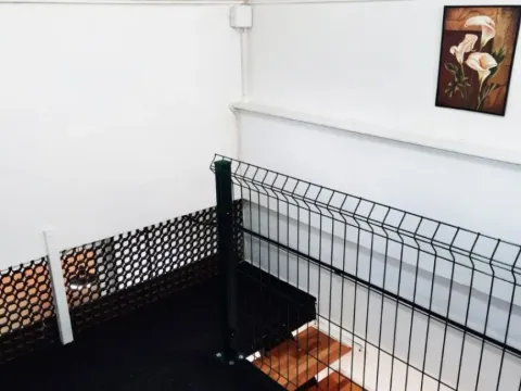 Sale, office space, 23m², Čukarica, Beograd - image 8